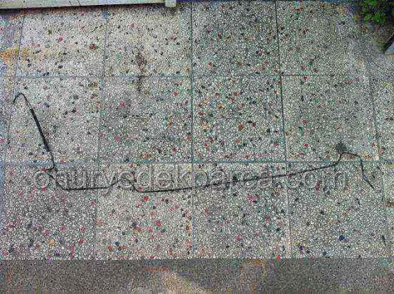 Renault Clio 3 Arka Fren Horumu Sağ 8200663367