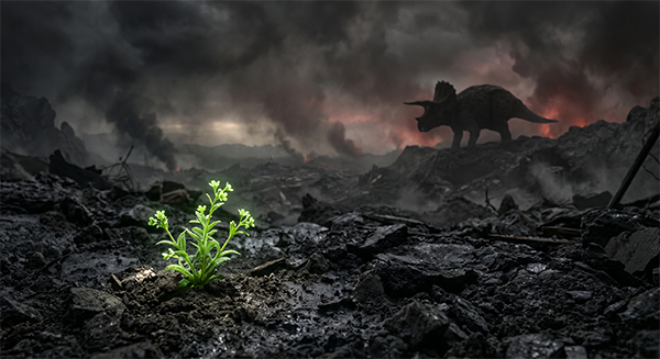 Dinozorları Yok Eden Asteroit Çiçekli Bitkileri Neden Bitiremedi? Bilim İnsanları Genetik Sırrı Çözdü