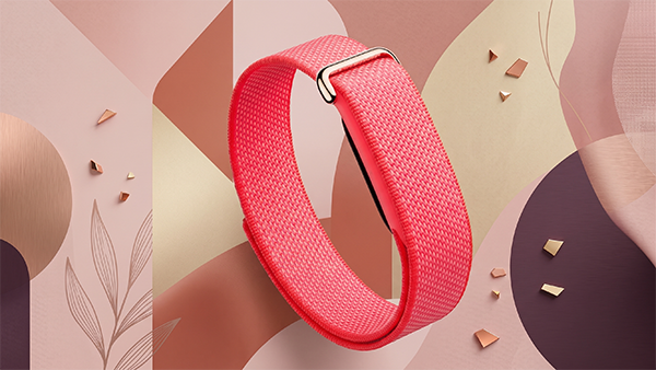 Google Fitbit Air